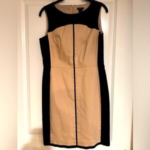 Ann Taylor dress